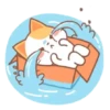 ️Orange Cat  MOV 7