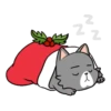 Navidad 2021 2 Movi 8