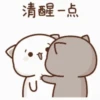 Mochi peach cat 7
