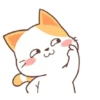 ️Orange Cat  MOV 8