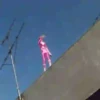 Pink Power Ranger Mov 11