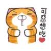 白爛貓31金勾杯動態 7