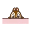 【英文】會動的！Chip 'n' Dale（療癒手繪風） 8