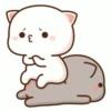 Mochi peach cat 9