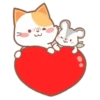 ️Orange Cat  MOV 9