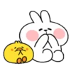Rabbit "Cute Action" .MOV 5