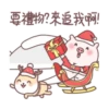 呆呆寵物狗Aida聖誕 9