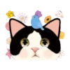 Jetoy甜蜜貓華麗夢境 8