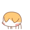 ️Orange Cat  MOV 10