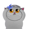 Grey Kitten 2  (mov)  ‍ 7