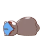 Grey Kitten (mov)  ‍ 12