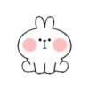 Spoiled Rabbit  Cute Action 9