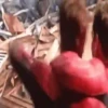 ?SpidermanNoWayHome Mov2? 14