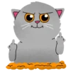 Grey Kitten 2  (mov)  ‍ 9