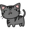Grey Kitten (mov)  ‍ 13