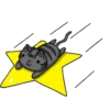Grey Kitten (mov)  ‍ 14