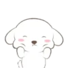 ️Perrito orejon   MOV 16
