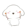 ️Perrito orejon   MOV 17