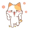 ️Orange Cat  MOV 12