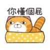 白爛貓31金勾杯動態 9
