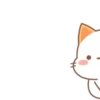 ️Orange Cat  MOV 13
