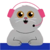 Grey Kitten 2  (mov)  ‍ 11