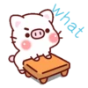 Laxi Pig Mov. 14