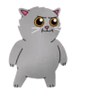 Grey Kitten 2  (mov)  ‍ 12
