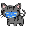 Grey Kitten (mov)  ‍ 16