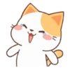 ️Orange Cat  MOV 14