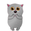 Grey Kitten 2  (mov)  ‍ 13