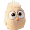 Angry birds 15