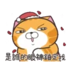 白爛貓31金勾杯動態 11