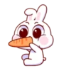 Super Cute Baby Rabbit 5