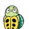 ● Turtles Salad Mov. ● 7