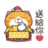 白爛貓31金勾杯動態 12