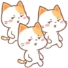 ️Orange Cat  MOV 16