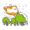 白爛貓31金勾杯動態 13
