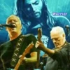 Pink Floyd 1 Movi 18