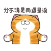 白爛貓31金勾杯動態 14