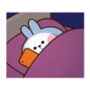 Spoiled Rabbit  Cute Action 16