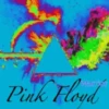 Pink Floyd 1 Movi 22