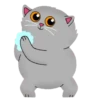 Grey Kitten 2  (mov)  ‍ 17