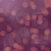 CU Medicine - Merry Xmas and Happy 2022 8