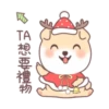 呆呆寵物狗Aida聖誕 17