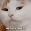 PetsReactions.Mix 12