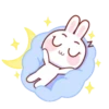 Super Cute Baby Rabbit 8