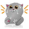 Grey Kitten 2  (mov)  ‍ 18