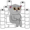Grey Kitten 2  (mov)  ‍ 19