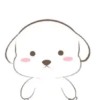 ️Perrito orejon   MOV 19